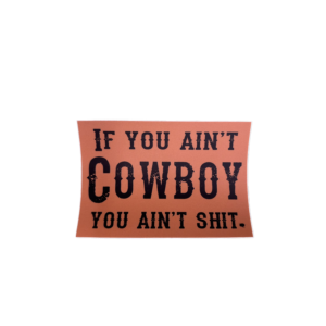 IF YOU AINT COWBOY YOU AINT SHIT