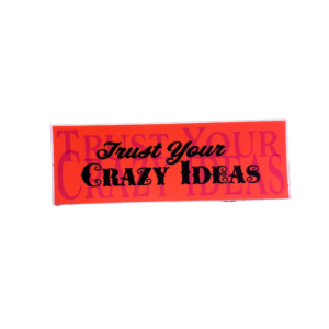 TRUST YOUS CRAZY IDEAS