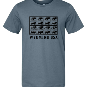 WYOMING USA